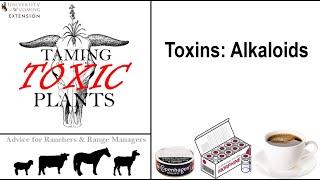 Common Toxins - Alkaloids: UW Taming Toxic Plants