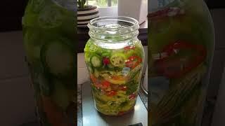 Lacto-fermented hot peppers!