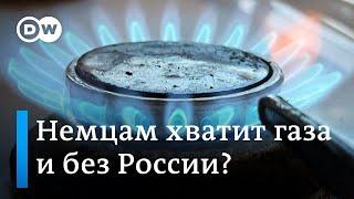 Немецкий профессор: газ из России Германия заменить может, вопрос только в цене