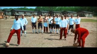 Stallone Goalie