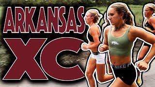 Arkansas XC Women CRUSH Tempo + Hills Workout