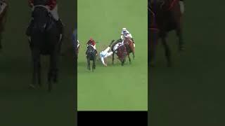 楊明綸 紅愛舍 布文 自勝者強