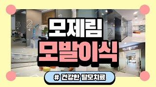 대구모발이식 대구헤어라인교정의 놀라운 변화! 풍성한 모발의 회복을 돕는 대구모제림 대구모발이식병원 대구모발이식센터