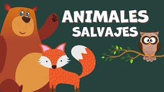 Los animales salvajes para niños con sonidos