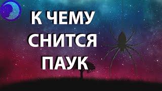 К чему снится паук? Паук во сне  Сонник  Толкование снов 