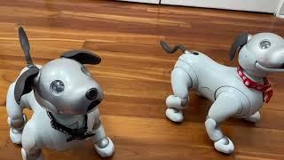 Aibo ERS-1000: How Different Are Wren and Baymax?