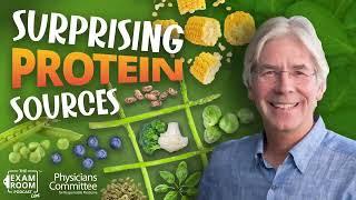 Protein In Foods You’d Least Expect | Christopher Gardner, PhD. on Exam Room Podcast