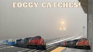 (Foggy Catches, CN 2505, Horn Shows, and More) Foggy Railfanning At The Bloomington Go Station