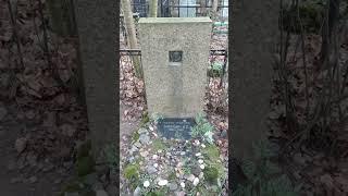 Билибин И.О - Художник,архитектор