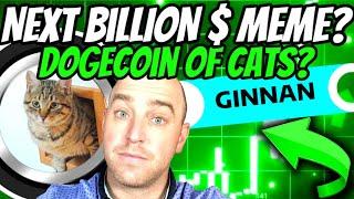 GINNAN - THE NEXT BIG SOLANA MEME COIN?  THE DOGECOIN OF CATS? 