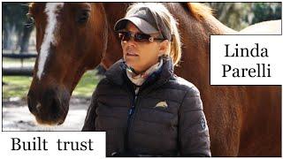 LINDA PARELLI! HOW TO CONNECT WITH YOUR HORSE'S MIND?