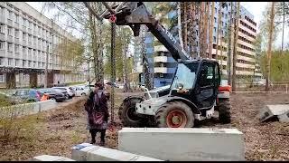 Участок леса у НГУ, жители Академгородка старались защитить от застройки.