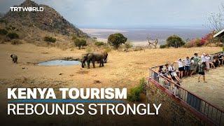 Kenya's tourism rebounds impressively, drawing global visitors