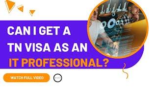 Can I get a TN Visa as an IT Professional?