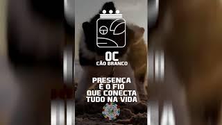 Kin 130 | Cão Cósmico Branco