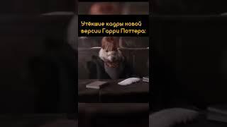 Гарри ты выдра.#юмор