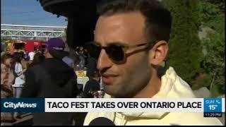 CityNews visits Taco Fest to speak with Brad Wishen of TasteToronto