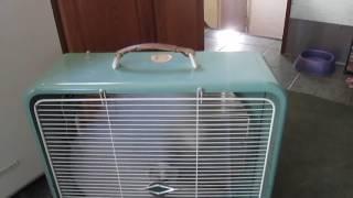 Early 1960s Lasko oscillating 20 inch vintage box fan