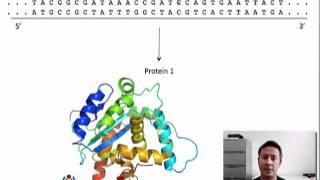 Gene Expression