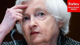 Yellen Asked Point Blank About Inflation: 'What Do You Say' To Americans Trying To Make Ends Meet?