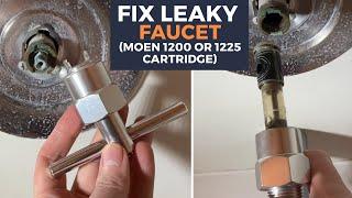 How to Fix Leaky Shower Tub Faucet | Replace Moen 1200 or 1225 cartridge Demo