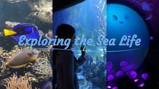 ADVENTURING ALONE DIARIES (ep1) : Exploring the Sea Life