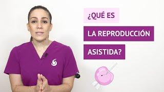 ¿Qué es la reproducción asistida y qué tipo de técnicas hay?