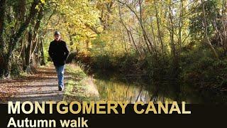 Montgomery Canal walk | Berriew, Mid Wales