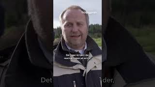 POV: Du blir anklaget for å bruke ChatGPT  #Trolljegeren #PrimeVideoNorge #humor