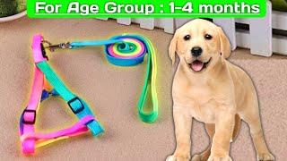 Unboxing Coloured Puppy Dog Belt | Dog belt | Adjustable Dog Belt | 2 Months Puppy Belt | Dog Chain