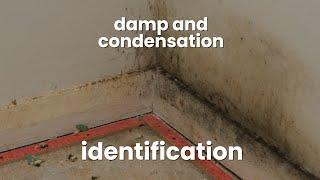 Damp and condensation - identification