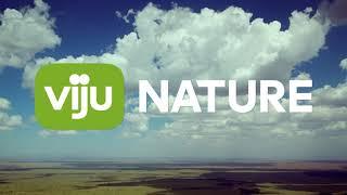 Телеканал viju Nature