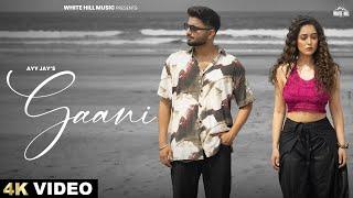 Gaani (Official Video) | Ayy Jay | New Punjabi Songs | Latest Punjabi Songs 2024 | Romantic Songs