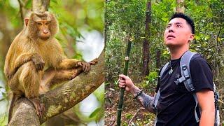 Dad got lost in the deep forest while looking for Monkey Kaka