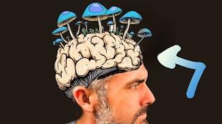 Your Brain on Mushrooms (The Science Explained)