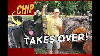 Sawmill Dog Gets Aggravated and Tells ALL About Sawing Cherry Logs!