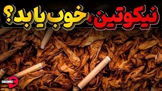 نه سیگار نه قلیان،  خود نیکوتین خالص برای ما خوبه یا بد؟