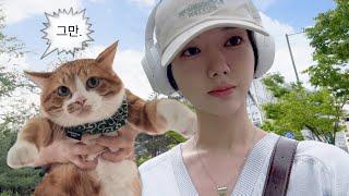 귀여운 고양이 키우는 집순이 vlog  |  고양이 사료 기호성 테스트  |  수제 함박 스테이크 만들기  |  공차 추천 메뉴  |  생각의 배신