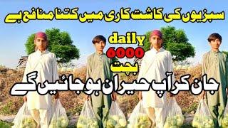 Wow! Amazing Fruit And vegetables farm| vegetables farming in Pakistan|business ideas Ahsan ayaz559