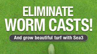 2 Minute Turf Talk - Worm Cast Elimination