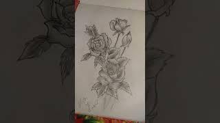 Easy step to make Rose sketch by Sushil Kumar#rose #shorts #feed