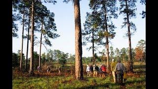 Collecting medicinal plants for drug research