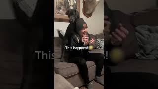 Dog Starts to Hump Woman Every Time She Wears Hat - 1382630