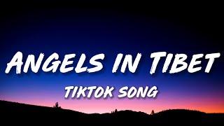 Amaarae - Angels in Tibet (Lyrics) "Dior (in the club)Take it off (in the club) [Tiktok Song]