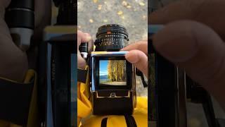 Nature’s Detail in Medium Format | Hasselblad Capture 