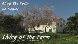 LIVING AT THE FARM (Simple joys of everyday life at the homestead in the peaceful countryside) *75