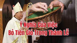 Ý Nghĩa Của Việc Bỏ Tiền Giỏ Trong Thánh Lễ - Bài Giảng ĐTGM Giuse Vũ Văn Thiên