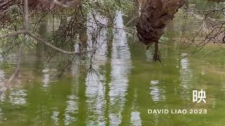 水 Water ，映#7。大蔚阿昌（David Liao)
