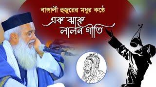 বাঙ্গালী হুজুরের কন্ঠে এক ঝাক লালন গীতি, Moklesur Rahman Bangali,মাওলানা মোঃ মোখলেছুর রহমান বাঙ্গালী