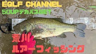 【荒川バス釣り】2025年初動画、50UPデカバスキャッチ！！